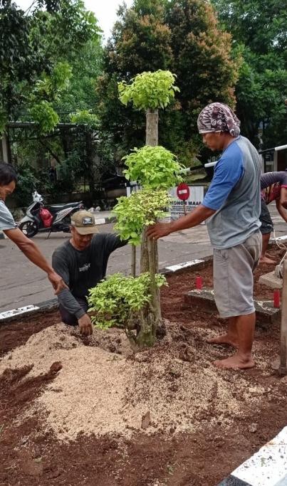 JASA LANDSCAPE TAMAN